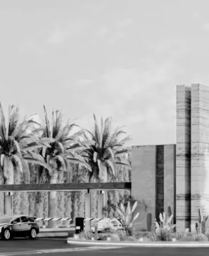 Palmeras frente a una construcción de hormigón